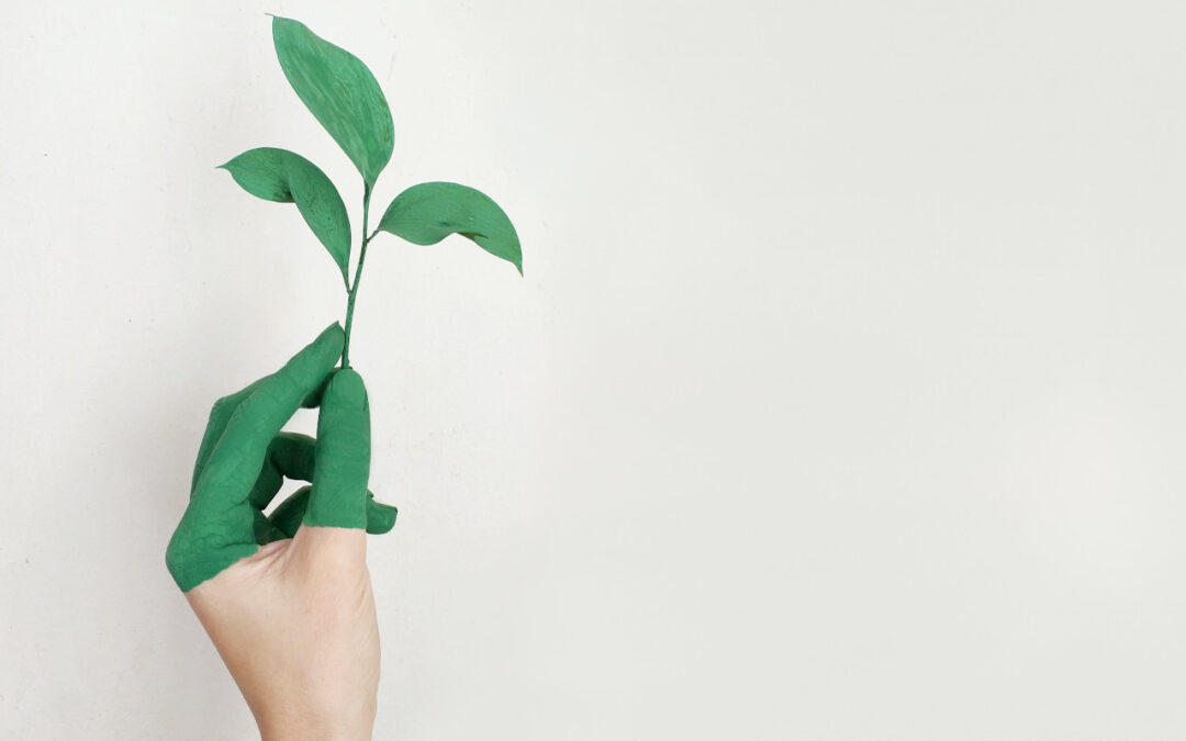 Top 7 Tips to Making More Out of Less